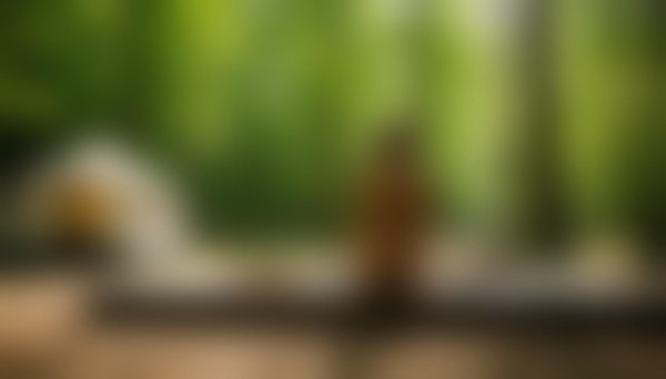 Les bienfaits d'un spa naturiste avec le camping arna